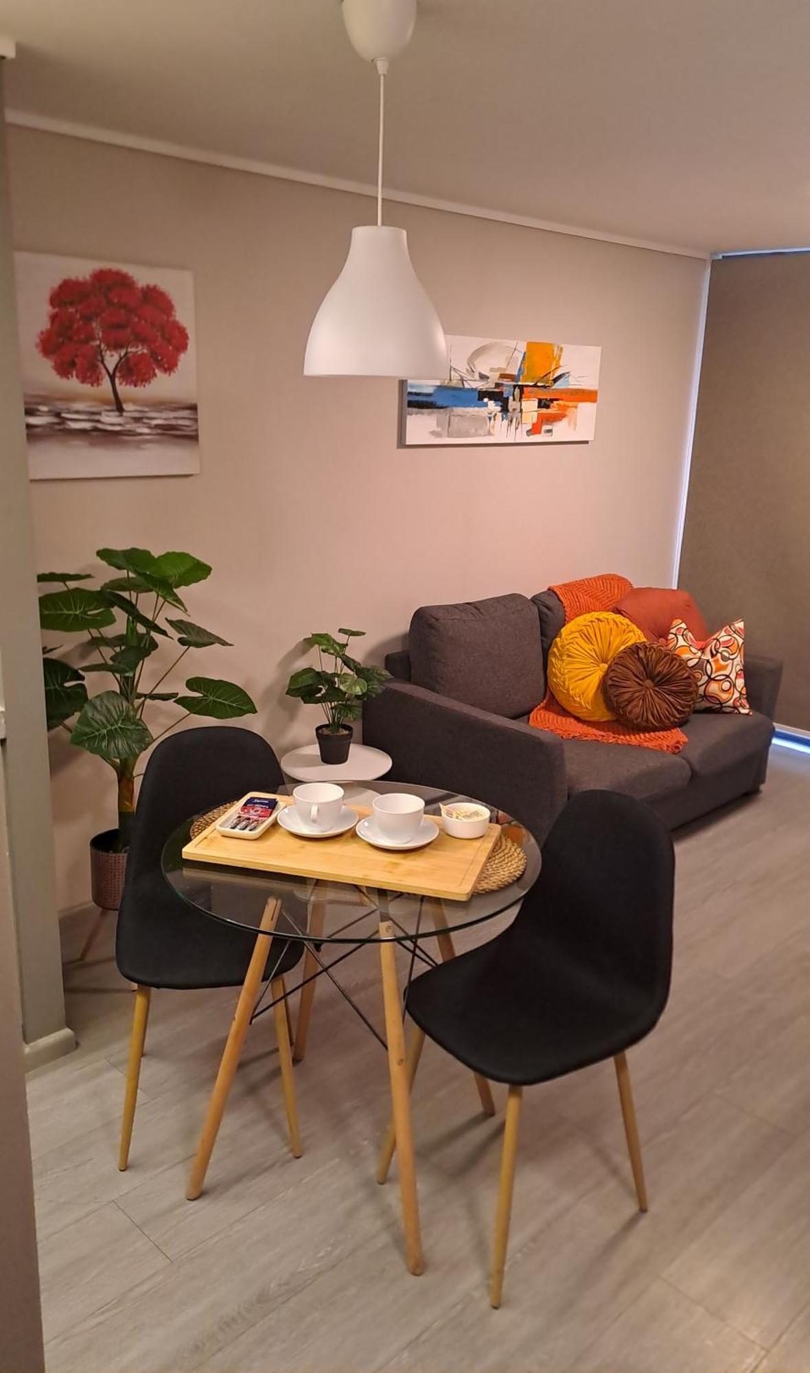 Hermoso Departamento A Pasos De Movistar Arena Parking Incluido * Santiago de Chile